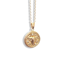 Load image into Gallery viewer, Zodiac Necklace 18&quot;
